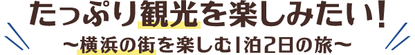 たっぷり観光を楽しみたい！～横浜の街を楽しむ1泊2日の旅～