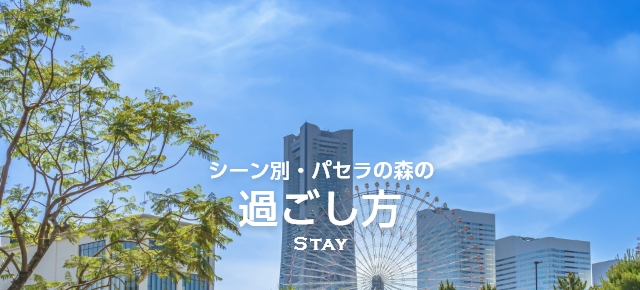 過ごし方 Stay